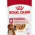 Royal Canin Medium Adult Wet Dog Food 140g