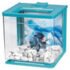 Marina Betta Kit Aquarium 2.5L - Blue