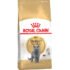 Royal Canin British Shorthair Adult Dry Cat Food 4KG