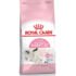 Royal Canin Mother & Babycat Dry Cat Food