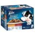 PURINA Felix Doubly Delicious Countryside Selection in Jelly Pouch Wet Cat Food Pack 12X85G