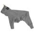 PAIKKA Recovery Overall for Dogs