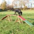 Trixie Dog Activity Agility Dogwalk Bridge for Dogs 456x64x30cm
