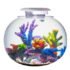 Katachi Lifestyle Kyu Acrylic Globe 52L Glass Aquarium With LED Lighting & Filter